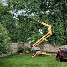 Best Storm Damage Tree Cleanup  in South Fulton, GA